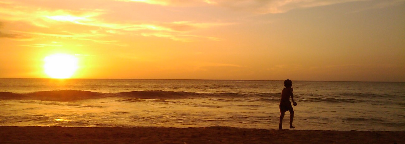Photo taken in Mount Lavinia, Sri Lanka - Copyright 2009 Richard Marmalade